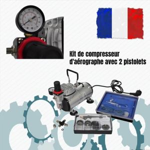 vidaXL Kit de Compresseur d'Aérographe à Piston 2 Pistolets Peinture :  : Bricolage