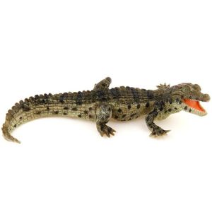 FIGURINE - PERSONNAGE Figurine PAPO Bébé Crocodile - Animaux peints à la