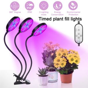 variateur réglable en continu EqWong Lampe de croissance pour plantes fleurs dherbe bleu rouge lampe pour serre jardin Lampe LED UV portable pour plantes dintérieur 