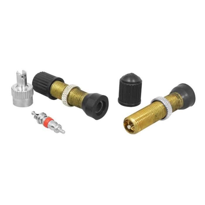 RMENOOR 10 PCS Valve Pneu Voiture Tubeless Valve Auto de Caoutchouc