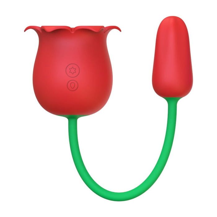 Vibromasseur Rabbit Premium 10 Modes - Stimulation Double, Silicone, Rechargeable USB