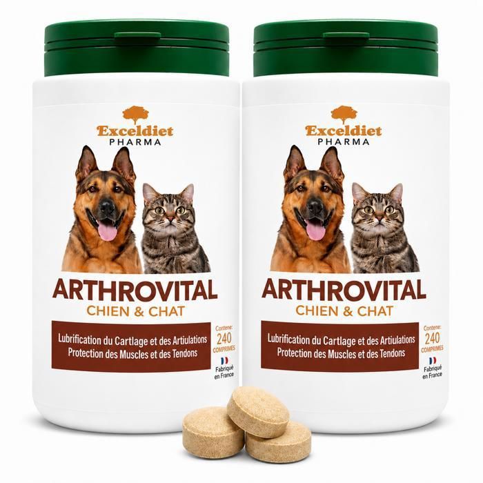 ArthroVital 240 Comprimés Chien & Chat Articulations Cartilage & Mobilité Glucosamine Chondroïtine ArthroVital 240 Comprimés Chien & Chat Articulations Cartilage & Mobilité Glucosamine Chondroïtine