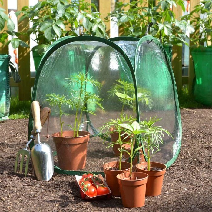 Mini Serre Pop-up 56x56x56 Cm - Tente D'Hivernage Pour Plantes En PVC Transparent, Protection Gel Sans Montage