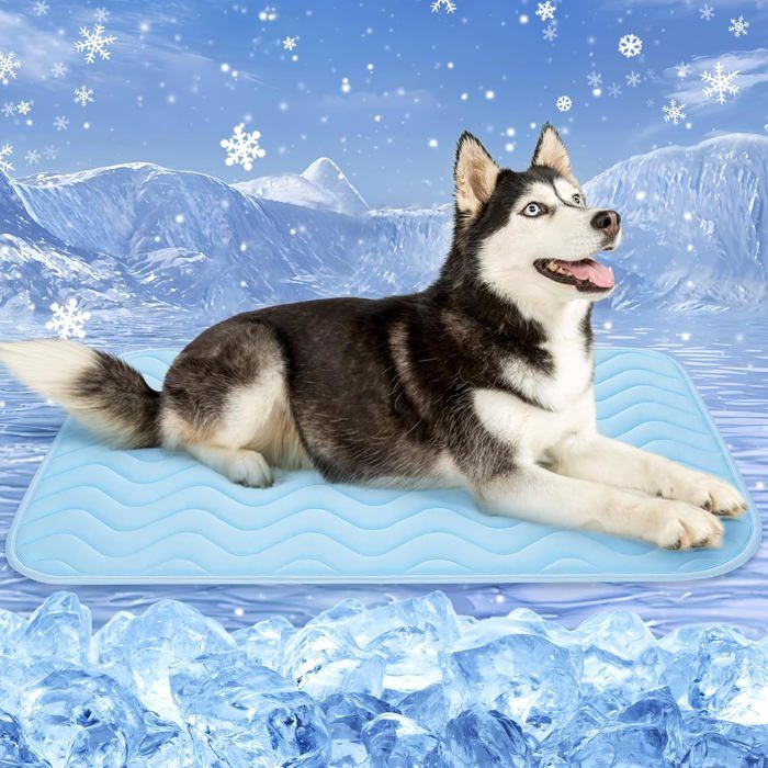 Tapis Rafraîchissant pour Chien 150x100 cm - Lavable avec Coussin Autorefroidissant - Idéal pour Été Chaud