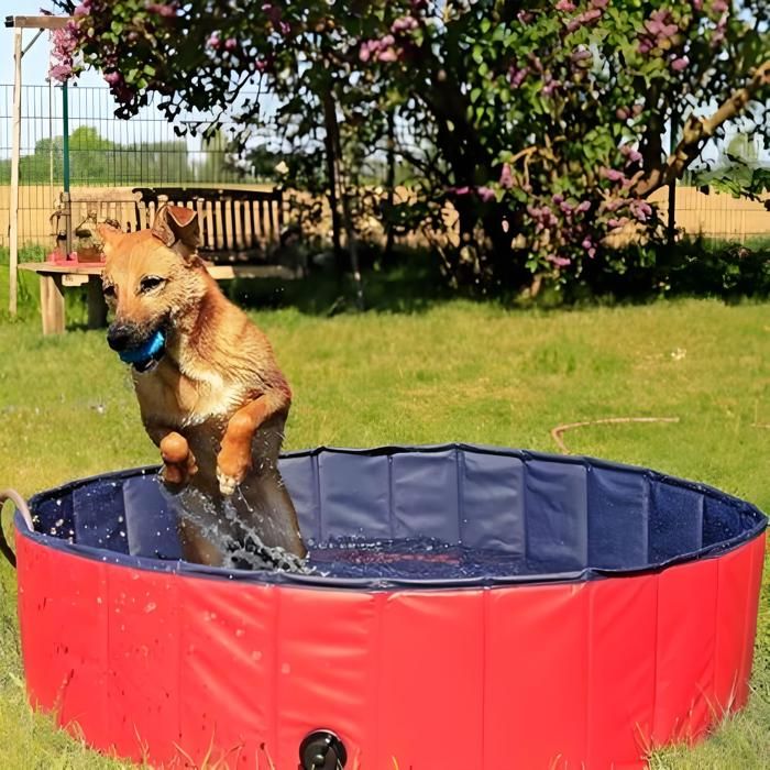 Piscine Pliable Pour Chien - 1 Pièce - PVC Résistant Aux Griffures - Fond Antidérapant Bouchon De Vidange - Jardin Terrasse Camp