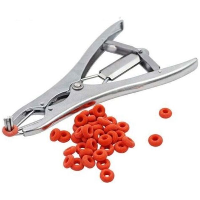 Pince de castration flexible en acier inoxydable adaptée aux bovins porcs et moutons avec 100 anneaux en caoutchouc 215 cm ar