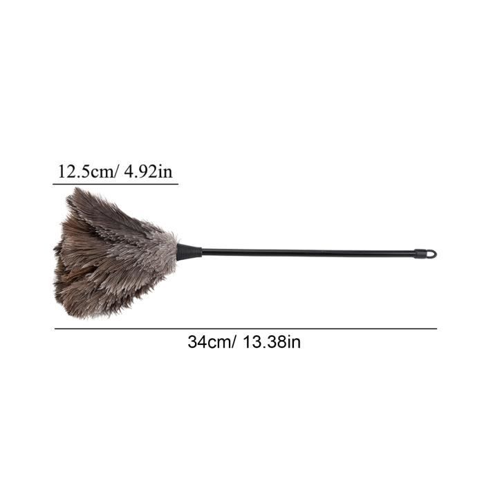Plumeau, Brosse De Nettoyage Manche En Bois Plumeau Meubles Poussière Balayage Voiture Brosse
