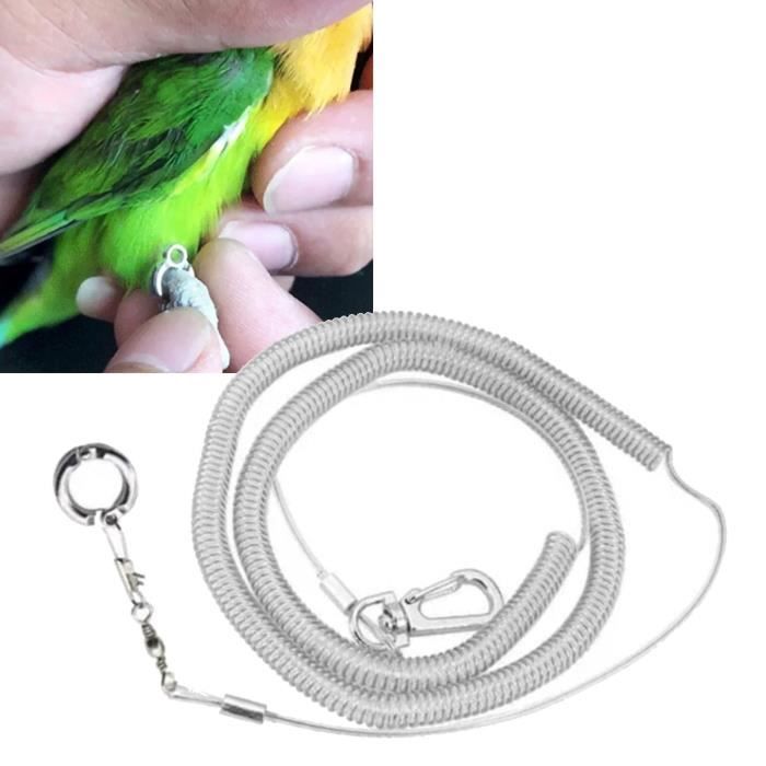 Comparer les prix de NEUF Laisse de harnais d'oiseau Harnais Oiseau Laisse Élastique En Plein Air Oiseau Volant Entraînement DUO