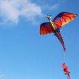 Cerf-volant, cerf-volant en plein air, 3D Dragon Kite Outdoor Cerfs-volants Enfants Sport Jouet-R-1