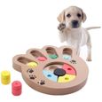 Jeu educatif chien