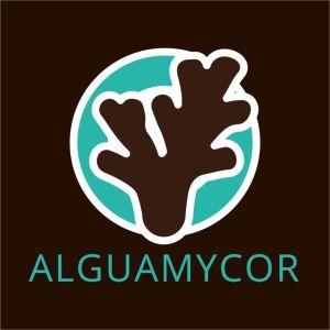 ENGRAIS AlguaMycor poudre - sachet de 1kilo - Guano Diffusion