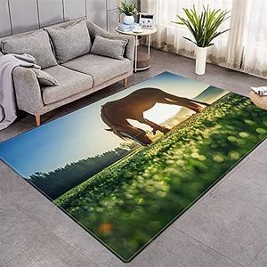 TAPIS Tapis de salon en flanelle super douce imprimé 3D 