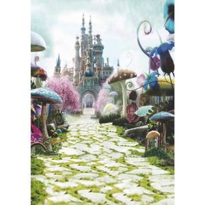 Toile De Fond Photo Chateau Cdiscount
