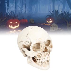 AJW-4Pcs Halloween Squelette Chat Lumineux Jardin Piquet Chat Halloween Chat  Silhouette Décoration d'halloween Horrible pour F[157] - Cdiscount Maison