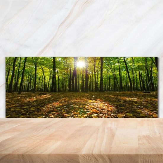 Panneaux de cuisine en verre Champ montagnes paysage vert brun