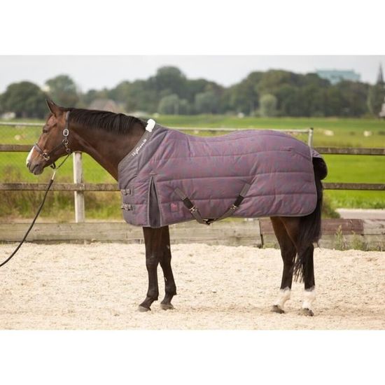 Achetez la couverture d'écurie Imperial Riding Super-dry 150gr pour cheval