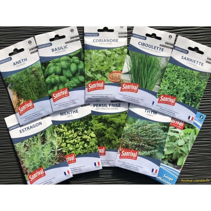 Lot de 10 sachets de graines, aromatiques, Sanrival