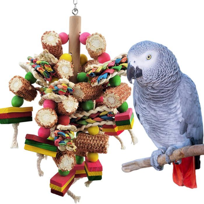 Jouets en Blocs de Bois Multicolores Naturels pour Perroquets Gris dAfrique et Amazones .