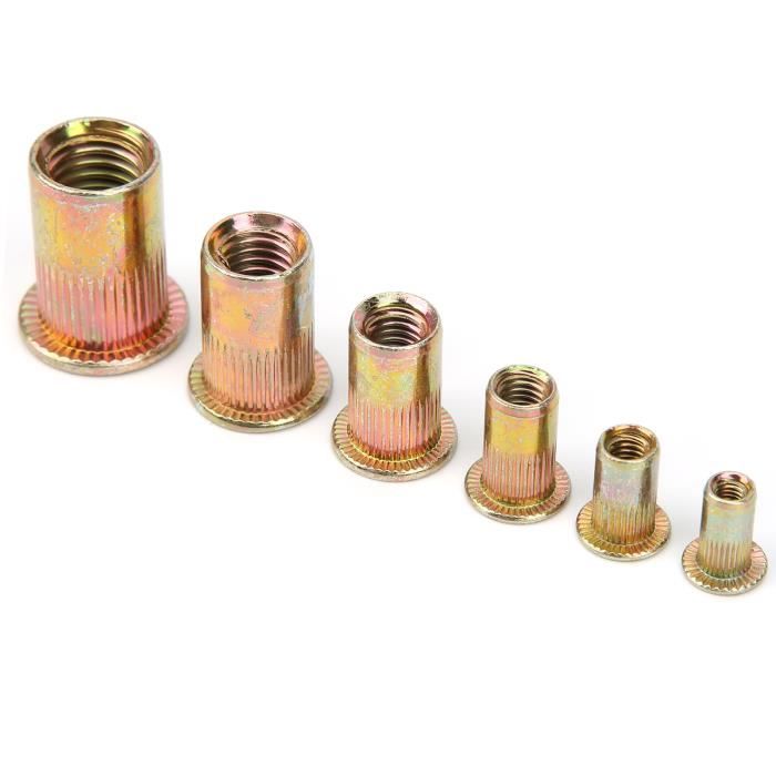 Ensemble d'écrous à Rivet en Zinc, Kit d'écrou à Rivet aveugle ...