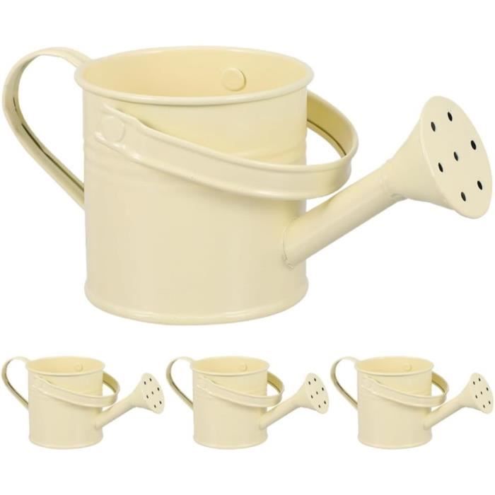 Lot De 2 Arrosoirs Vintage En Fer 9x8,5 Cm - Décoration Jardin Rétro