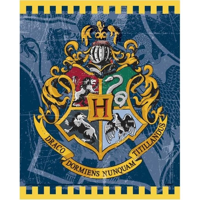 Lot de 8 Sachet Surprise Harry Potter - Cadeau Anniversaire Bonbon - 113 -  Cdiscount Maison