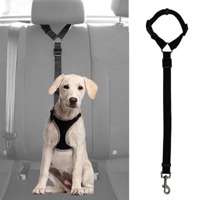 Ceinture de siege de securite de voiture pour chien chat de compagnie Harnais Laisse clip de voyage sangle laisse