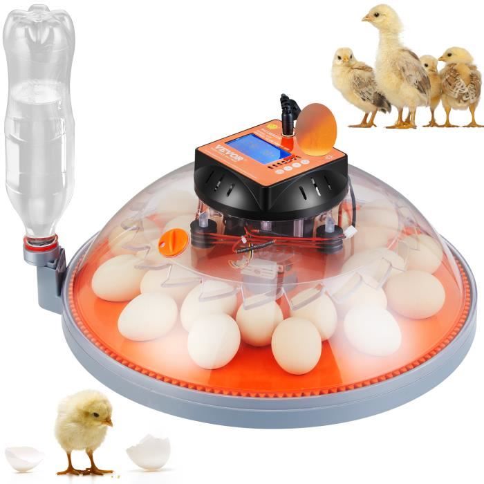 Couveuse Automatique Sailnovo - 24 œufs - 4 Modes - Incubation Poule, Canard, Caille