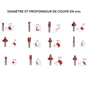 Kit De 17 Fraises D’injecteur Pour Nettoyage Et Alésage Des Sièges D’injecteur - Outillage Garage Universel - Boîtier Inclus