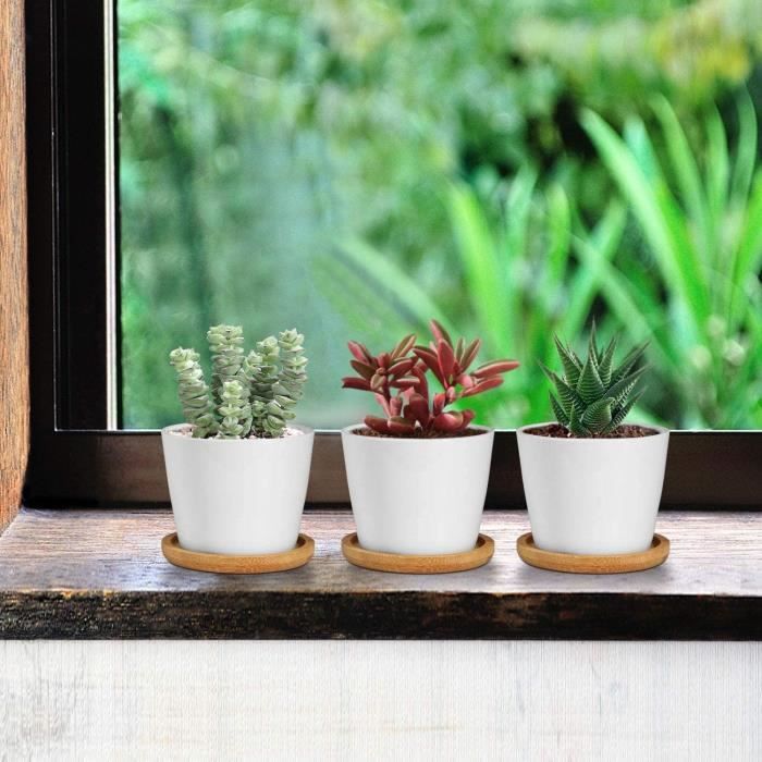 Freestylehome Petit pot de fleurs rond en céramique blanche pour plantes  succulentes avec plateau en bambou Cactus pour plantes succulentes avec  plateau en bambou pour décoration de chambre 
