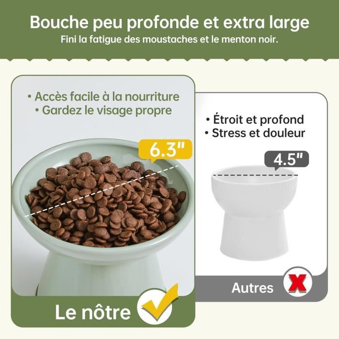 Gamelles Surélevées Pour Chat, Gamelles Inclinées Pour Chat Anti Vomissements Gamelles Pour Chat Pour Proteger La