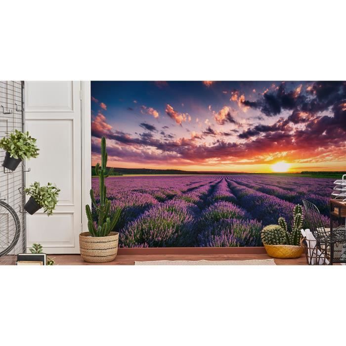 Papier Peint Intissé PLANCHE DE BOIS 225 Cm X 250 Cm | Tapisserie Murale XXL Poster Décoration - Salon Appartement - Photo D'art Tableaux Muraux