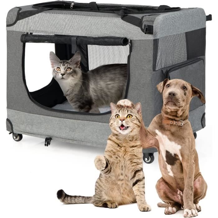 Sac Transport Chat Respirant, Caisse de Transport pour Chiens