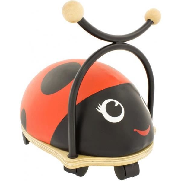 trotteur coccinelle nature et decouverte