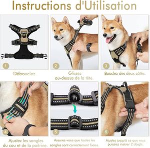 Piquet De Fixation En Fer Pour Chien/bétail HEMOTON - 50 Cm, Solide Et Stable - 8