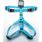 CAPITAL SPORTS Harnais H Ziggi turquoise. tour de cou 35 -50 cm. 15 MM . taille S/M. pour chien.-Flamingo Pet Products 3,000000 Bleu