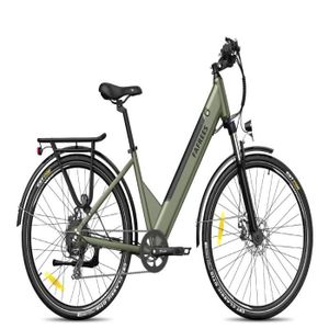 Qwic Premium/Performance batterie vélo électrique 36v 417Wh