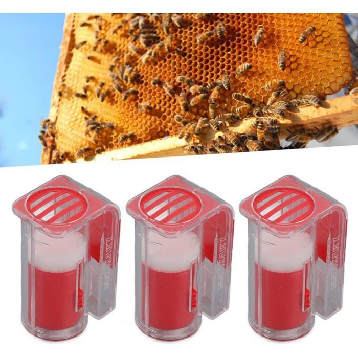 Tube De Marquage Reine Des Abeilles, Cage De Marquage Reine Des