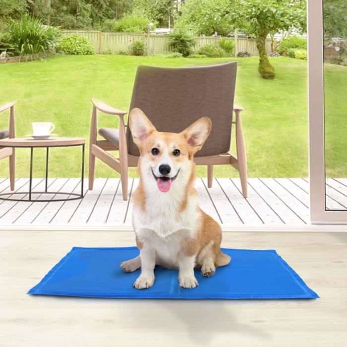 Tapis Rafraîchissant Pour Chien 70x55 Cm - Auto-refroidissant, Non Toxique, Bleu, Sans Eau Ni électricité