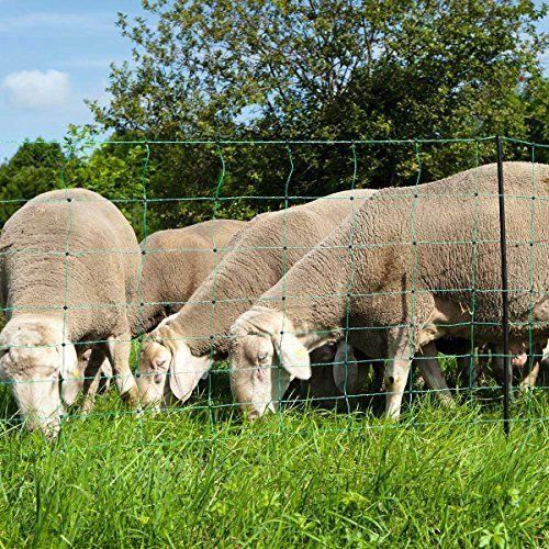 Comparer les prix de Kerbl Ovinet Filet Double Pointe pour levage Mouton Vert 50 m x 108 cm - 27268