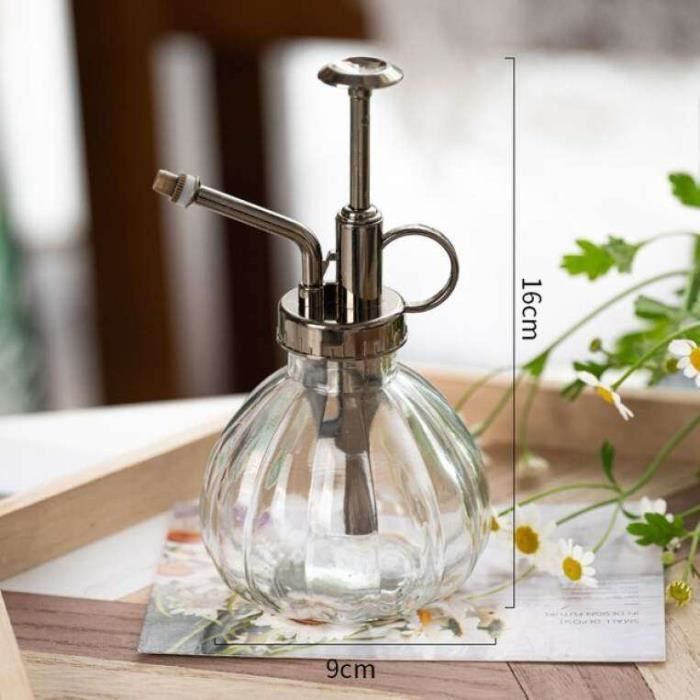 Lot De 2 Arrosoirs Bouteille Souples 500ml Avec Pipette Fine - Pour Plantes Succulentes, Terrariums Et Tatouages