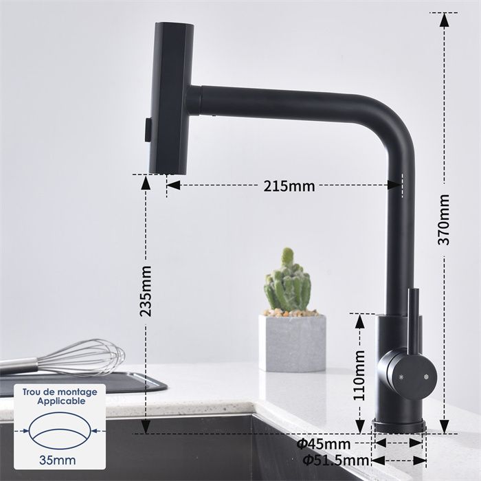 Modèle De Dents Dentaires Adultes M4017 - Pour étude Pathologies Parodontales, Enseignement