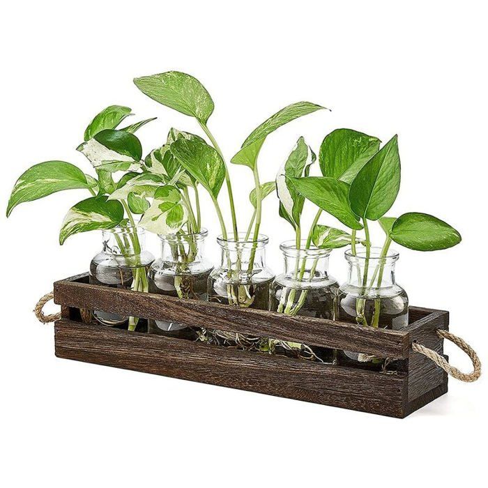 Vase En Verre YWNYT Terrarium De Propagation De Plantes, 2