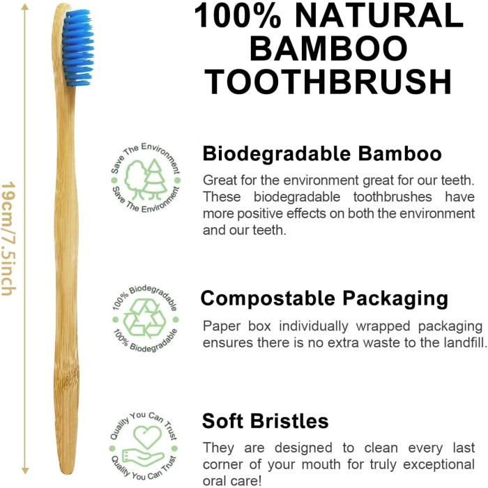 1pc Porte-brosse à Dents Support Mural Crochet Sup... – Grandado