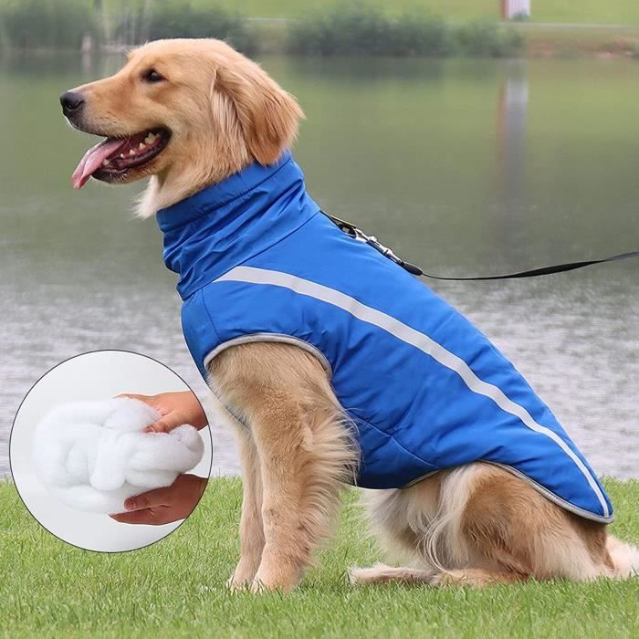 Veste chien clearance