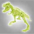 Clementoni - Science & Jeu - Archéo Ludic - T-Rex-6