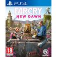 Far Cry New Dawn Jeu PS4-0