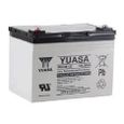 Yuasa - Batterie plomb AGM REC36-12 12V 36Ah F-M5-0