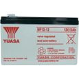 Batterie plomb 12 V 12 Ah Yuasa NP12-12-0