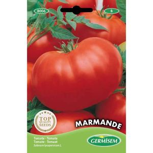 GRAINE - SEMENCE graines Tomate MARMANDE.[Y141]