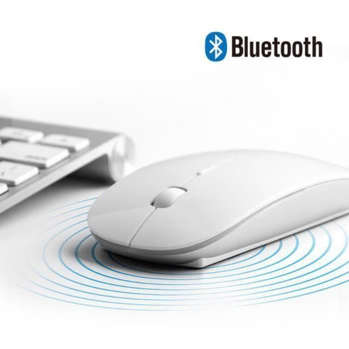 Souris sans fil – Compatible tout ordinateur – Ergonomique – 2.4 GHz – Blanche – USB